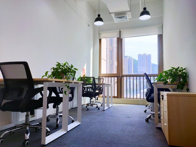 上海市南桥镇言语功能康复训练培训